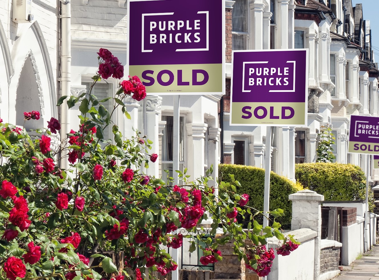Purplebricks shares slump as agency swings to loss after marketing failures
