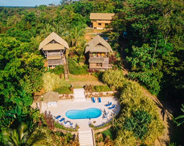 Joe Haley Red Frog Resort