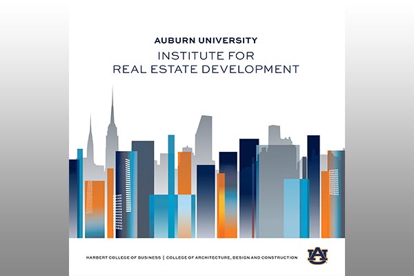 Real Estate Institute Development graphic