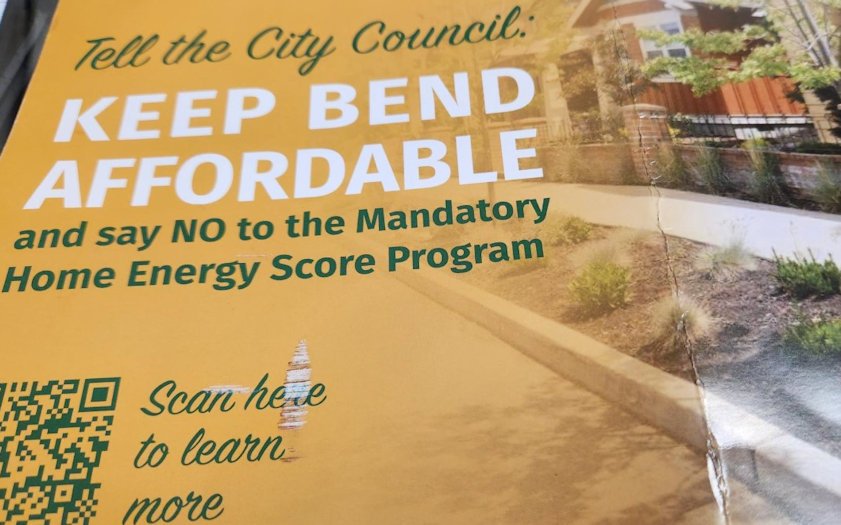 Realtors flyer Home Energy Score