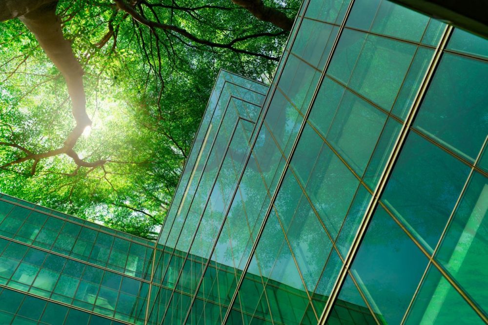 Impact investing moves from niche to norm in agtech & foodtech