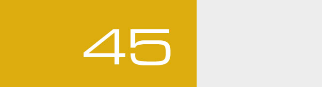 Overall score - 45